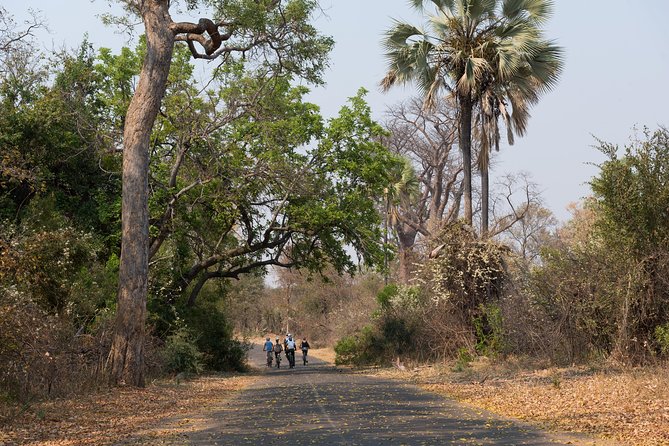 Wild Horizons Bike Tour (Zimbabwe) - Traveler Feedback and Reviews