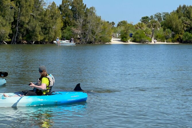 Wildlife Refuge Dolphin, Manatee & Mangrove Kayak or Paddleboarding Tour! - Mangrove Ecosystem Exploration