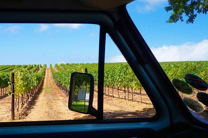 Wine Beer and Biltong Safari - Stellenbosch - Tips for Participants