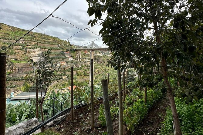 Wine Day Tour & Lunch in the Vineyard - Guest Reviews and Ratings