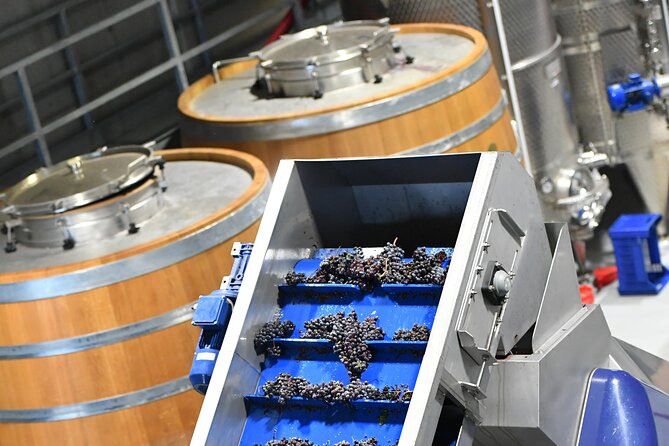 Wine Experience of Nebbiolo in Alto Piemonte - Accessing Winery and Vineyard Facilities
