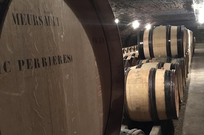Wine Experience With Tasting in Burgundy - Vineyard Visit & Tasting