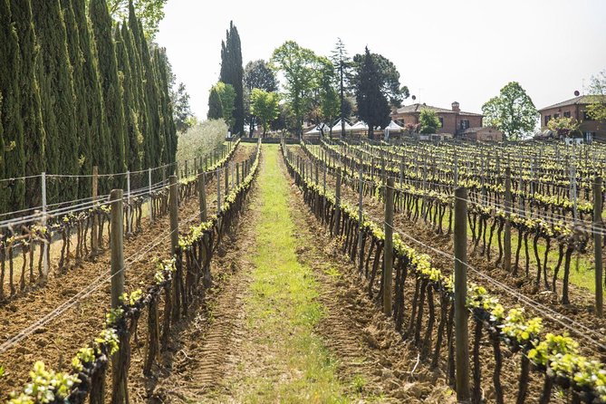 Wine Tasting and Horseback Riding in Montepulciano, in Tuscany From Rome - Pricing and Cancellation Policy