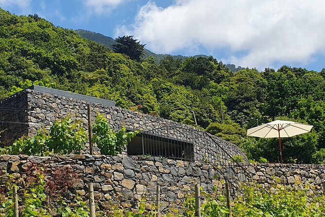Wine Tasting Experience in Boaventura, Madeira North Coast - Wine Tasting Details
