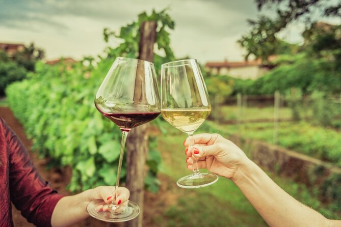 Wine Tasting for Small Groups in the Palermo Countryside - Booking Confirmation and Availability