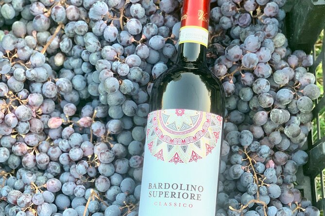 Wine Tasting in Bardolino - Planning Your Wine Tasting Adventure