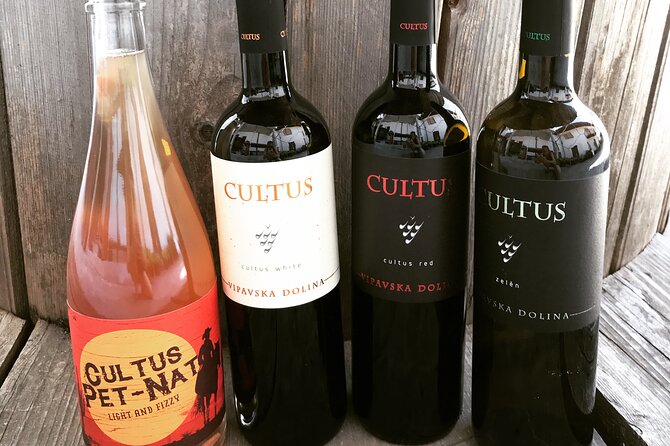 Wine Tasting in the Oldest Dated Cellar From 1683 in Vipava - Guest Reviews