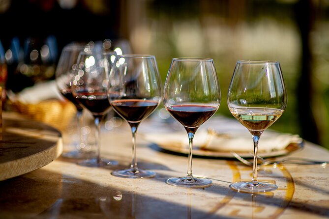 Wine Tasting & Shuttle Service - Expert-led Wine Classes