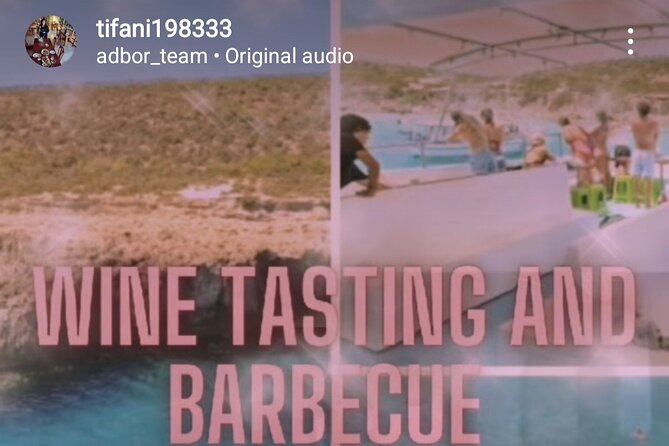 Wine Testing On-Board the Demetris Chara BBQ Boat While Visiting the Blue Lagoon - Traveler Sentiment and Highlights