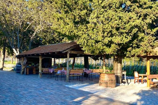 Wine Tour Konavle - Exceptional Tour Quality Feedback
