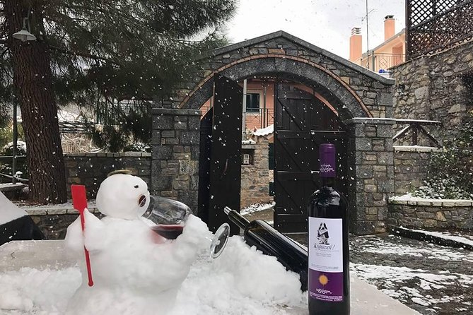 Wine Tour & Tasting in an Organic Winery in Arcadia, Greece! - Capsia Cave Hours