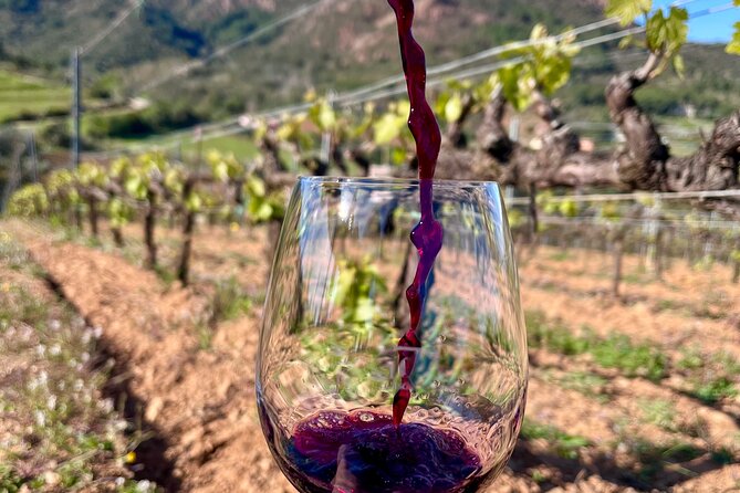 Winery Tour and Tasting With the Winemaker in Elba Island - Verifying the Positive Experiences