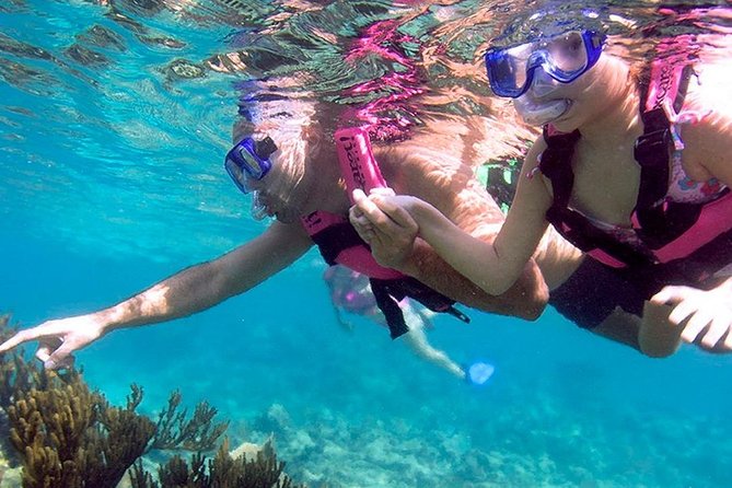 Xcaret Plus & Swim in the Underground River & Buffete Only From Cancun - Frequently Asked Questions