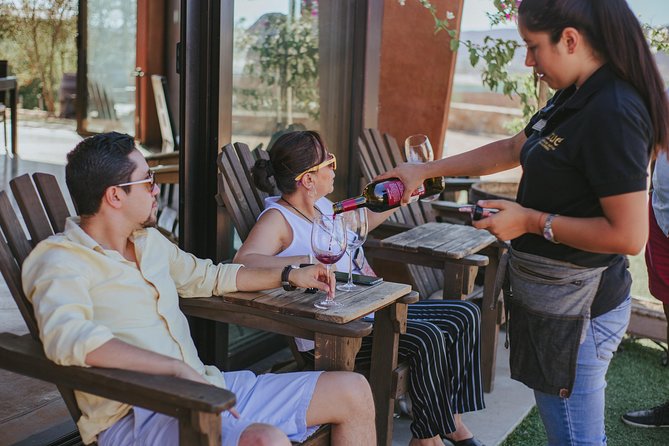 Xecue Wine Tasting in the Guadalupe Valley - Highlights From Traveler Feedback