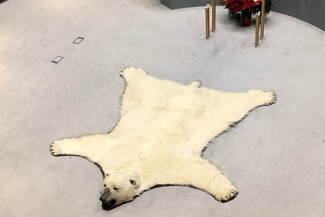 Yellowknife City Tour + Natures North Wildlife Gallery - Unique Museum Experience