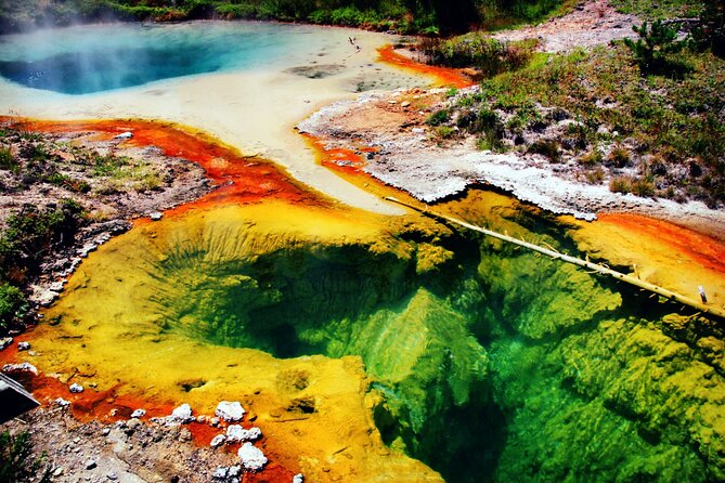 Yellowstone National Park 6-Day Tour From Vancouver (Chn&Eng) - Highlights