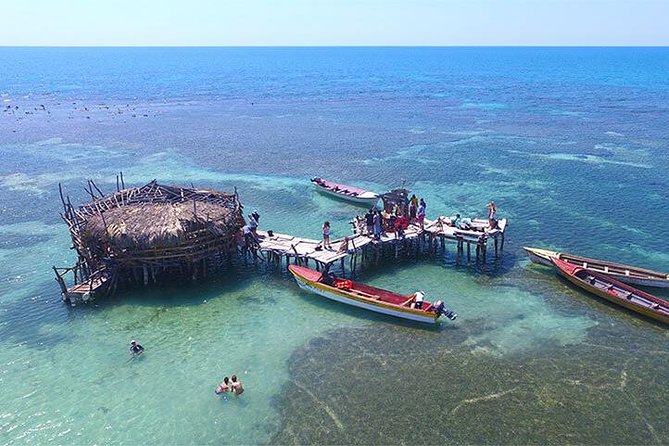 YS Falls and the Pelican Bar Adventure Tour From Negril - Negril Destination