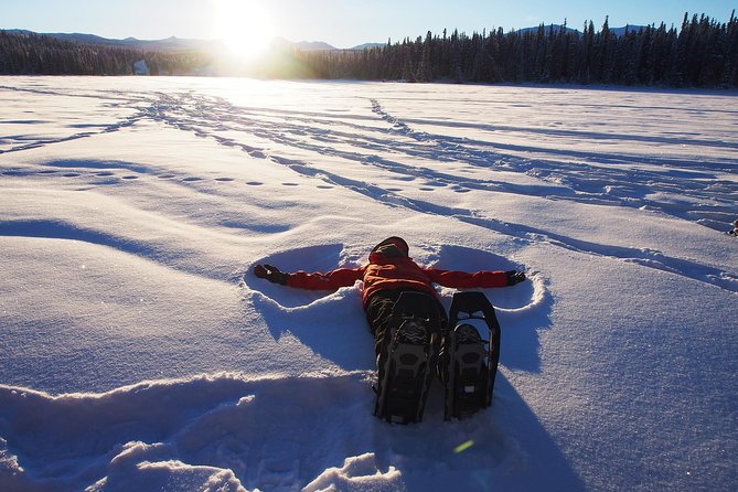 Yukon Snowshoeing Adventure | Half Day - Experience Highlights