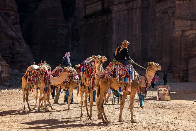 7 Days Jordan Sightseeing Tour - Good To Know
