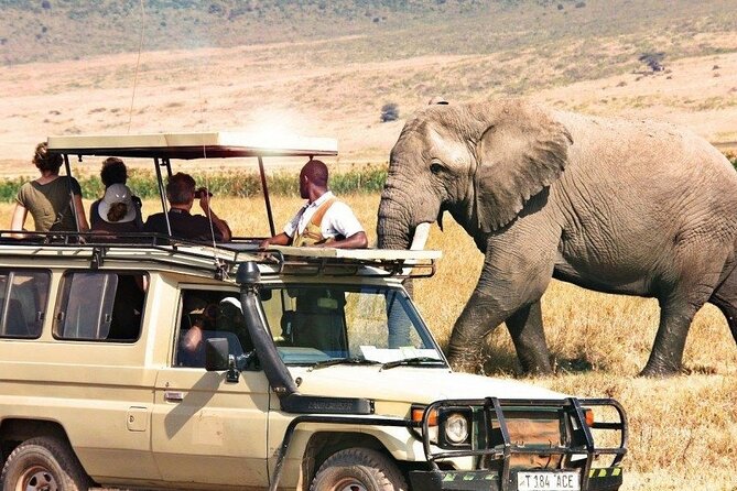 7 Days Private Tanzania Safari - Safari Overview