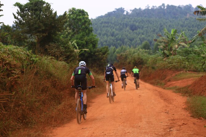 7 Hours Guided Cycling Tour to Sezibwa Waterfalls - Good To Know