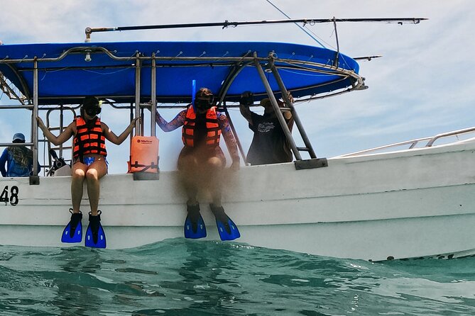1.5 Hours Snorkeling at Tulums Paradise Reef - Frequently Asked Questions