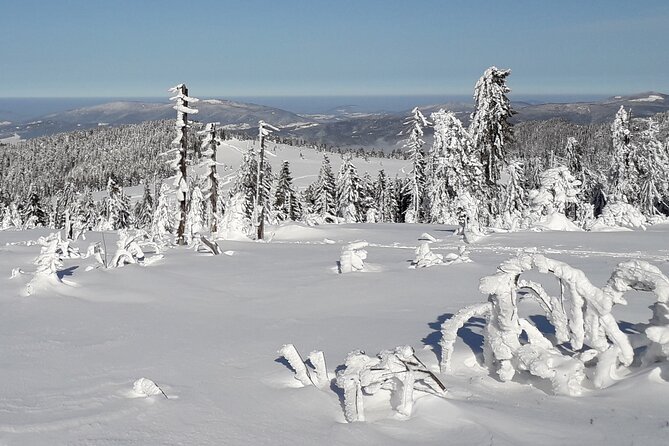 1-Day Private Snowshoe Hike in the Gorce Mountains Near Krakow - Private Tour Experience