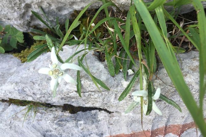 1 Day White Rocks Wilderness - Vihoraski Trail Hike From Zagreb - Customer Reviews and Pricing