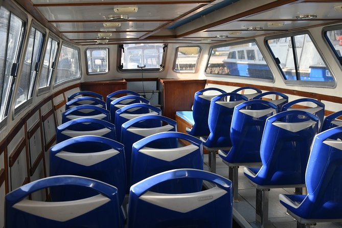 1-Hour Panoramic Tour of Venice by Boat - Practical Tips for the Experience