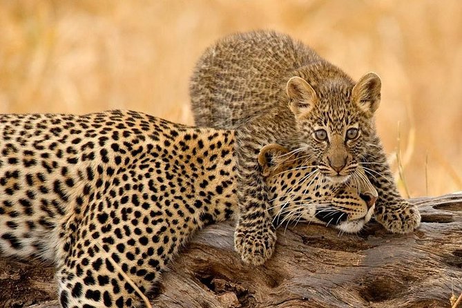 10 Days / 9 Nights Join Group Safari - Frequently Asked Questions