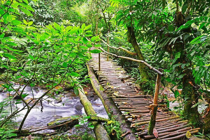 10 Days Affordable Gorilla Trekking Holiday - Frequently Asked Questions
