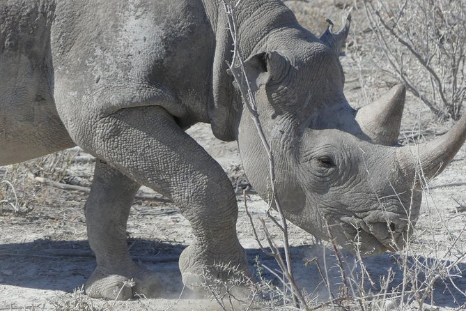 10 Namibia Adventures - Additional Information