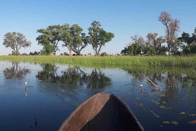 11Day WILDERNESS TRAIL:Okavango,Moremi&Chobe -WildCamping Safari +Victoria Falls - Booking Information