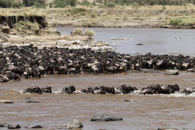 12 Days Amazing Tanzania Wildlife and Cultural Experience - Frequently Asked Questions