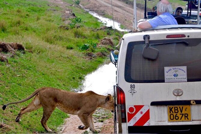 13-Day Private Wildlife Safari Tour of Kenya and Tanzania - Frequently Asked Questions