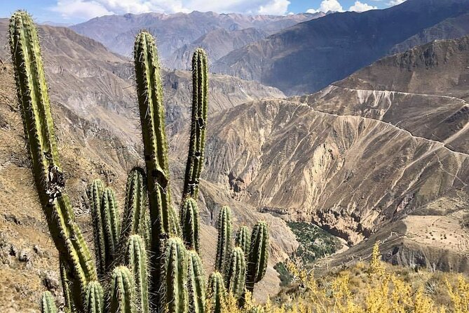 2-Day Hiking Tour to the Colca Canyon - Questions About Your Stay