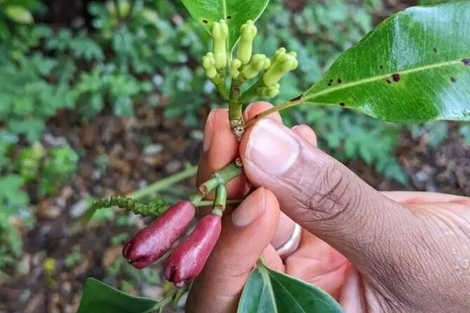2-Day Zanzibar Adventure: Stone Town & Spice Farm (all-incl.) - Frequently Asked Questions