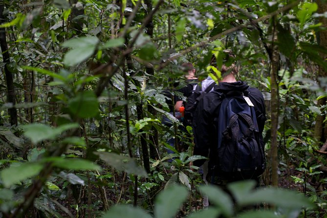 2 Days Chimpazee Safari in Kibale Forest Park Uganda. - Frequently Asked Questions