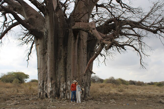 2 Days Private Camping Safari - Recommended by Travelers