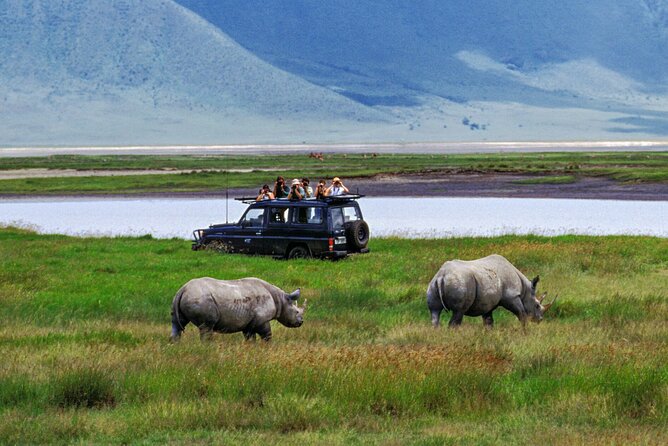 2-Days Private Midrange Safari From and to Zanzibar - Important Travel Tips