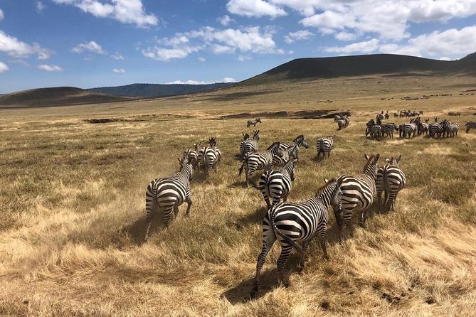 2-Days Private Midrange Safari; Tarangire & Ngorongoro Crater - Safari Guide and Jeep Features