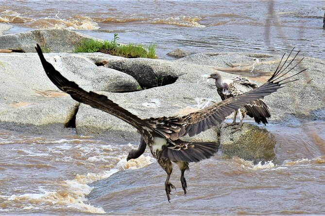 2 Days Safari Through Tarangire NP and Lake Manyara NP - Tips for Travelers