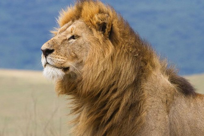 2 Days Tarangire & Ngorongoro Budget Safari Tour Tanzania - Booking Information and Cancellation Policy