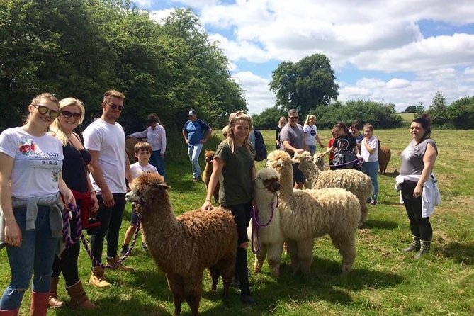 2-Hour Alpaca Farm Experience in Kenilworth - Additional Information for Visitors