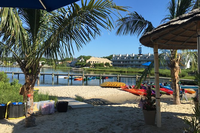 2-Hour Paddleboard Rental in Rehoboth Bay - Tips for a Great Experience