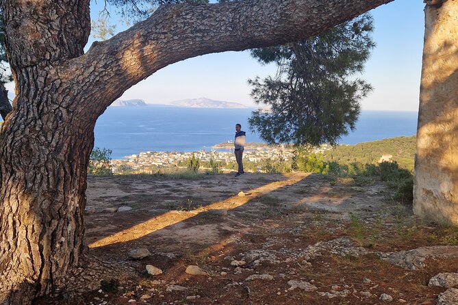 2-Hours 4X4 Tour in Spetses Safari - Viator Company Overview