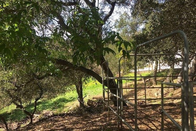 2 Hours Horseback Riding Adventure in Agoura Hills - Things To Known