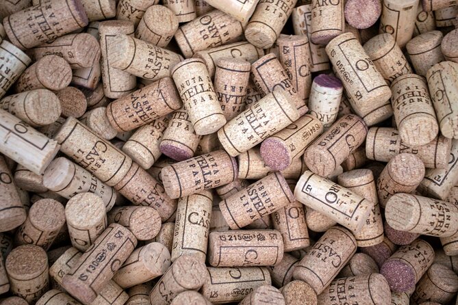 2 Hours of Classic Tasting in Sicily - How to Prepare for the Tasting