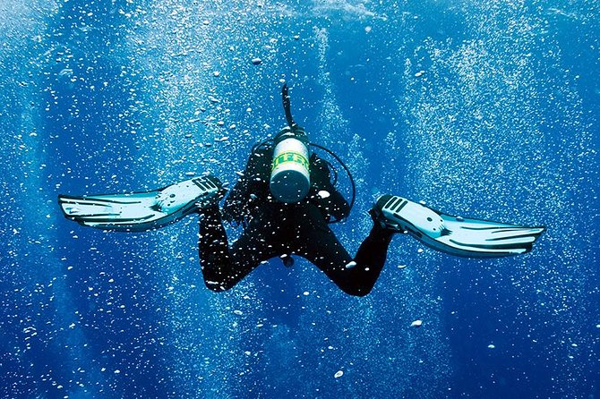 2 Tank Shore Dive at Sea Turtle Cove - Sum Up