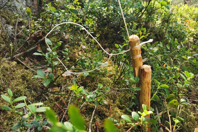 2-Weeks Cast-Away Survival Course in Södermanland - Sum Up